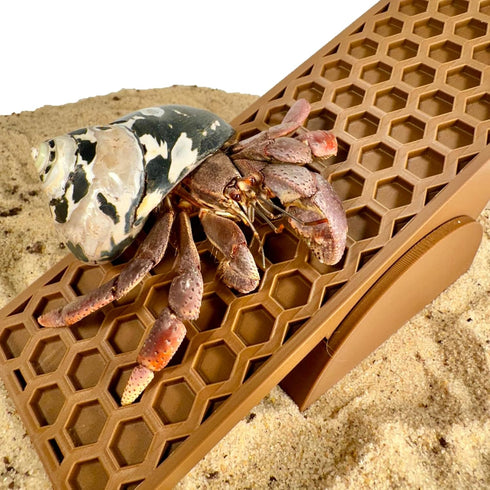 Lucky Critter Hermit Crab Toy Seesaw | Hermit Crab Toys Tank Decor | Decoration Accessories Supplies Ornaments |