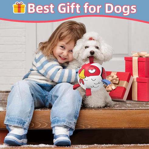 Dog Toys Soccer Ball with Straps - Durable Dog Balls for Extra Small Dogs, Beach Pool Dog Water Toy, Chicken Dog Toy, Puppy Dog Birthday Gifts, Herding Balls for Dog (5 Inch)