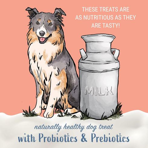 Yogurt Sticks, Prebiotic & Probiotics, Protein Rich, Bacon Flavor, 5 Pieces, USA Made