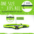 Mighty Paw Hands Free Dog Leash | Bungee Waist Leash for Walking, Running, Up to 150 lbs, 36" - 48"