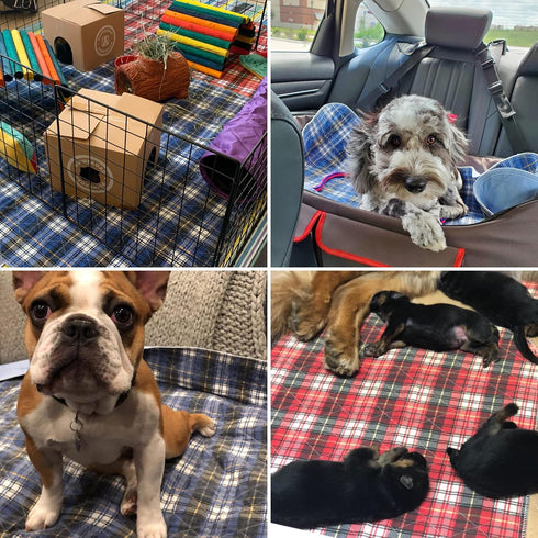 36"x41" KOOLTAIL Washable Pee Pads for Dogs - Waterproof & Non-Slip Plaid Puppy Potty Training Pads, Reusable Whelping