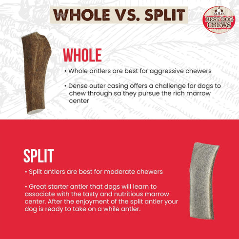 Best Chews Whole Elk Antlers for Dogs – Natural USA Sourced Antlers for Aggressive Chewers, Promotes Oral Health