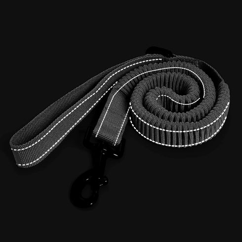 Mile High Life Bungee Dog Leash, Gentle Pull Training Lead for Dogs/Cats Under 20 lb, Soft Comfort Texture, 3-5 Feet