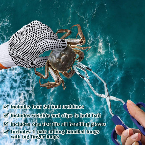 Poen 24'' 20'' 12'' Wire Grid Bottom Crab Nets Two Ring Crab Kit with Harness and Bait Clip x x Foldable Fishing Net