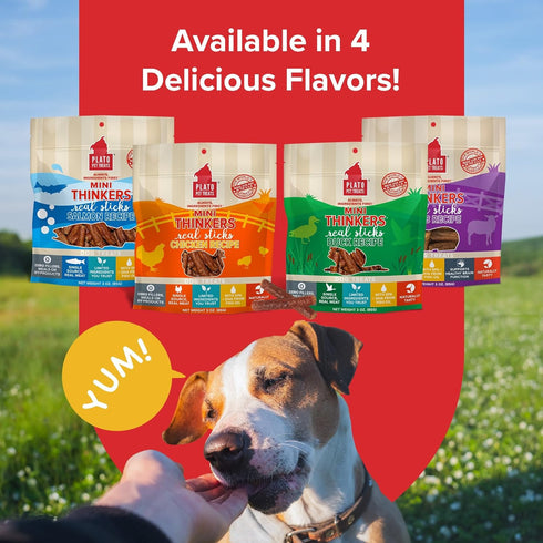 PLATO Mini Thinkers Sticks - Natural Dog Treats - Real Meat - Air Dried Chicken Flavor, Made in the USA, 3 ounces