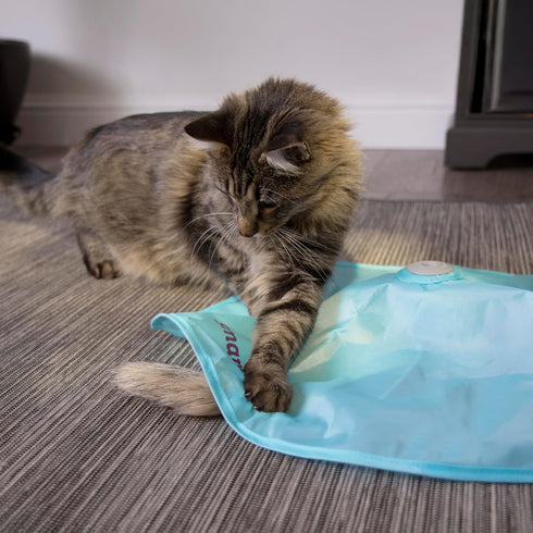 SmartyKat Electronic Motion/Moving Toys for Cats & Kittens, Battery Powered, Mimics Motion of Real Prey, Fun