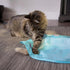 SmartyKat Electronic Motion/Moving Toys for Cats & Kittens, Battery Powered, Mimics Motion of Real Prey, Fun