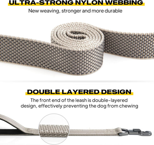 Fida 6 FT Heavy Duty Dog Leash, Grey with 2 Padded Handles, Traffic Handle & Easy Snap Hook for All Breeds