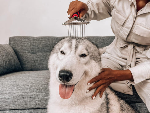 Tuff Pupper Dog Undercoat Rake Tool | Ergonomic Dematting Comb for Thick Coats | Easily Remove Dead, Matted or Knotted