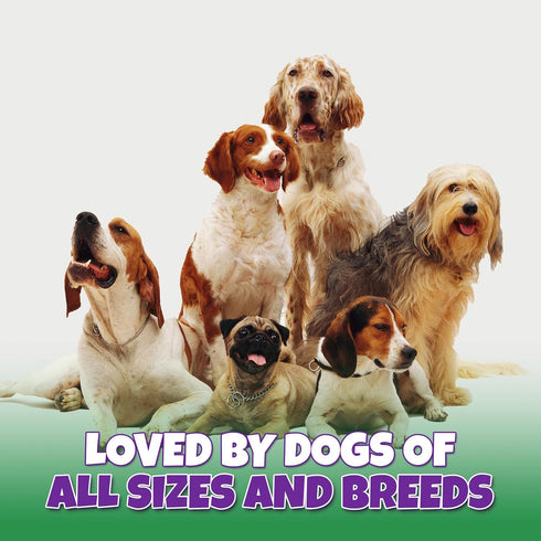 3-Inch, 6 Count Marrow Bones for Dogs Large, Medium, & Small, All-Natural, USA Made, Healthy Bone Marrow Dog Treats