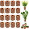 Rainmae 16 Pcs Aquatic Water Plant Fixed Rings, Ceramic Plant Pot for Water Plants Cultivation, Fish Tank Accessories