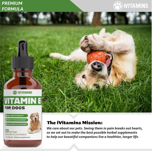 Vitamin E Supplement for Dogs | Dog Immune Support | 1 fl oz | Vitamin E Oil Dog | Dog Vitamins E | Canine Vitamin E