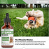 Vitamin E Supplement for Dogs | Dog Immune Support | 1 fl oz | Vitamin E Oil Dog | Dog Vitamins E | Canine Vitamin E