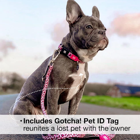 Max & Molly Leopard Pink Dog Collar with Safety QR Code Tag - Soft, Adjustable, Waterproof Collar for Dogs & Puppies