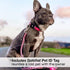 Max & Molly Leopard Pink Dog Collar with Safety QR Code Tag - Soft, Adjustable, Waterproof Collar for Dogs & Puppies