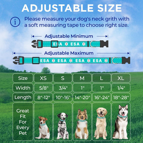 TECEUM Reflective Teal Pet Collar, M, Extra Soft Padding, Basic Nylon Dog Collar with Quick Release Buckle