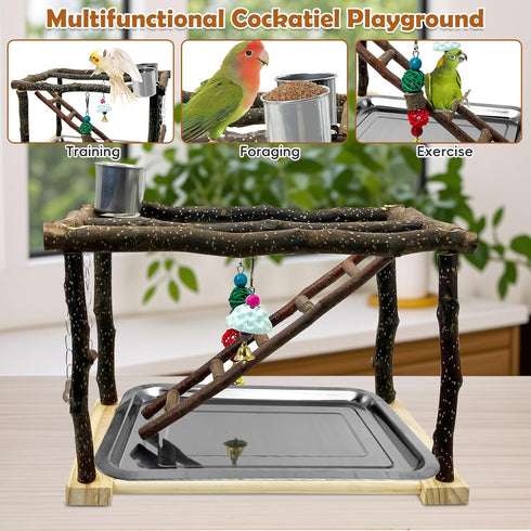 Tfwadmx Parrots Playstand Bird Play Gym Cockatiel Playground Wood Perch Stand Climb Swing Ladders Chewing Toys