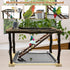 Tfwadmx Parrots Playstand Bird Play Gym Cockatiel Playground Wood Perch Stand Climb Swing Ladders Chewing Toys