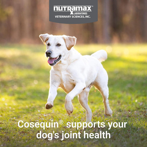 75 Count Nutramax Cosequin for Dogs Joint Health Supplement, Contains Glucosamine for Dogs, Plus Chondroitin, MSM