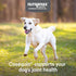 75 Count Nutramax Cosequin for Dogs Joint Health Supplement, Contains Glucosamine for Dogs, Plus Chondroitin, MSM