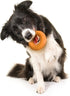 Playology Durable Dog Chew Toy, Dual Layer Ring, Cheddar Cheese Scented Orange for Medium Dogs