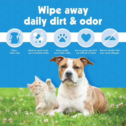 Petkin Big N' Thick Petwipes, 100 ct