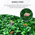 Generic 2 10x10 Inch Pieces Hermit Crab Climbing Toys, Faux Grass Hermit Crab Climbing Wall Mat Reptile Tank Decor