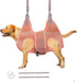 Potens' Pet Dog Grooming Hammock - Large Dog Holder for Nail Trimming with Security Strap