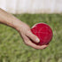 100mm Set Amazon Basics Bocce Ball