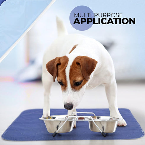 1 500 Becks USA Made Reusable Pet Pee Pads for Dog & Cat Pee Problems|Advanced Leak Free Design + Color Change Wetness