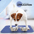 1 500 29X35-4 Pack Becks USA Made Reusable Pet Pee Pads for Dog & Cat Pee Problems, Advanced Leak Free Design, Color