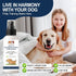 5 oz /150ml Potty Training Spray for Dogs fl Dog Pee Training Aid for Puppies & Adults Dogs Helps Guide Dog to Pee Pads