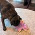 SPOT Soothers- Tabbie Lambie Dog Toy, Stuffing Free, Scented with Calming Lavender Fragrance Beads for Dogs