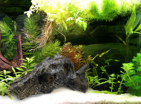 corisrx Aquarium Malaysian Driftwood Imitation Ornament, Small Tree Trunk Decor for Fish Tank