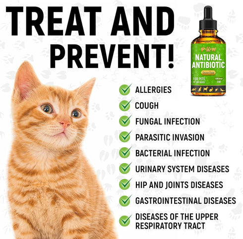 2-oz Herbal Pet Antibiotics for Rabbits, Reptiles, Turtles, Guinea Pigs, Fish Chicken Antibiotics in Liquid for All