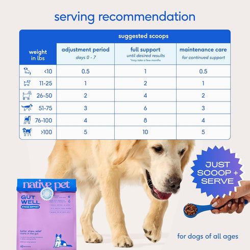 Wellbeing, 60 Native Pet GutWell Stress Support - Dog Anxiety Relief & Calming Supplement - Promotes Emotional