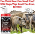 Zone Protects INVISIBLE HUNTER Scent Eliminator Wipes, 80-Count Triple Action Odor Control for Gear & Skin