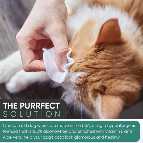 MAGICARE Grooming Wipes for Dogs & Cats - 100 Unscented Deodorizing Wipes for Sensitive Skin, Made in USA