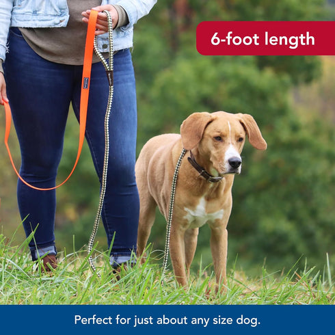 Water & Woods Braided Rope Snap Dog Leash - Green, Durable Comfortable Pet Leash with Classic Swivel Snap