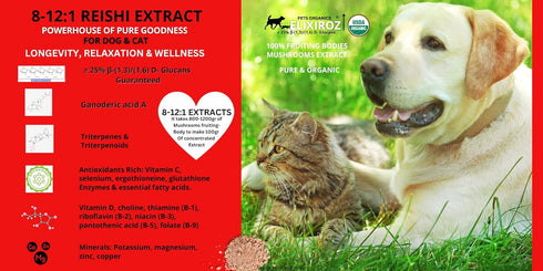PURE REISHI, 100% Mushrooms Extract for Dogs & Cats - Immune & Digestive Health, Anti-inflammatory, Antioxidative