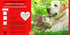 PURE REISHI, 100% Mushrooms Extract for Dogs & Cats - Immune & Digestive Health, Anti-inflammatory, Antioxidative