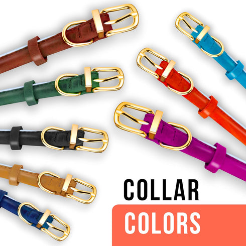 OOPSDOGGY Reflective Rolled Leather Dog Collar - Adjustable Soft Padded Collar for Small Breed Dogs (XXS, 7"-9", Blue)
