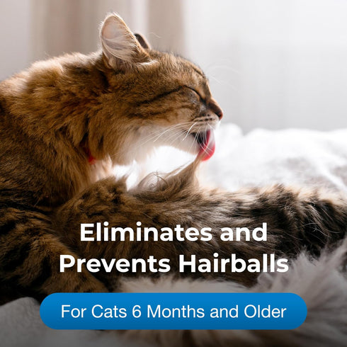 PetAg Hairball Solution Gel Supplement for Cats, 3.5 oz, Pack of 2 - Helps Prevent Hairballs in Cats 6 Months+