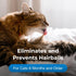 PetAg Hairball Solution Gel Supplement for Cats, 3.5 oz, Pack of 2 - Helps Prevent Hairballs in Cats 6 Months+