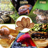 SunGrow Leaf Litter for Snakes, 10 Pcs Medium Indian Almond Catappa Leaves for Humidity in Reptile Tank Decor
