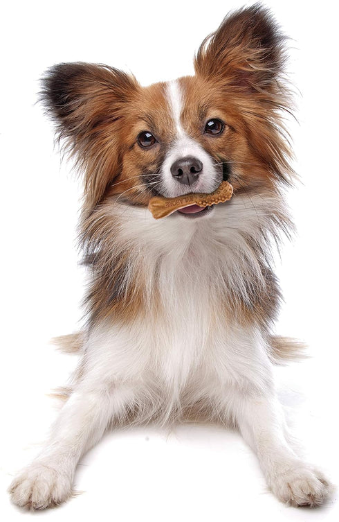Nylabone Nutri Dent Dog Dental Chews - Natural Dog Teeth Cleaning & Breath Freshener - Filet Mignon Flavor, Mini (160