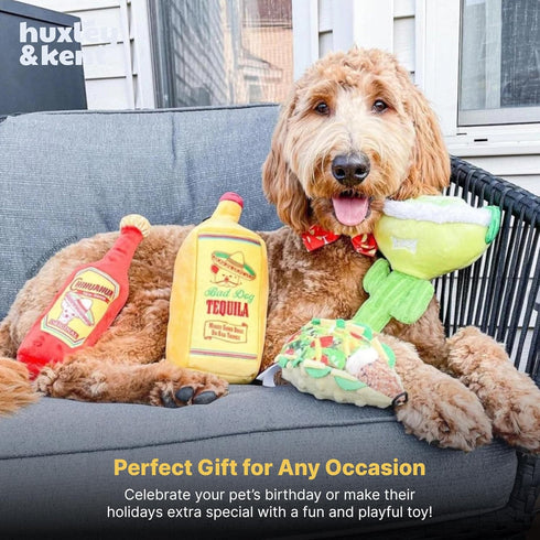 Huxley & Kent Plush Dog Toy with Squeaker, Power Plush Stuffed Toy for Dogs - Margarita Loco, Small