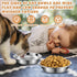 Cat Bowls, 12Pcs Stainless Steel Food Bowls, Replacement Whisker Fatigue Relief Dishes for Small Dogs and Cats