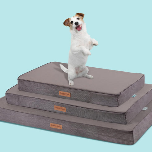 Washable Cooling Pet Bed, Certipur-Us Certified Memory Foam, Waterproof Inner Liner, 29" x 18", for Small & Medium Dogs