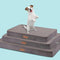 Washable Cooling Pet Bed, Certipur-Us Certified Memory Foam, Waterproof Inner Liner, 29" x 18", for Small & Medium Dogs